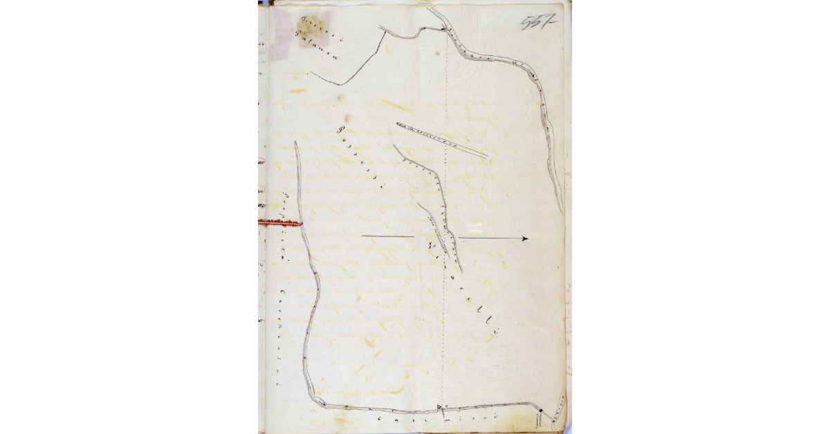 [Pianta dimostrativa dei terreni di proprietà dei fratelli Vivarelli Colonna situato in località Barca del Grazi nell'agro orbetellano]