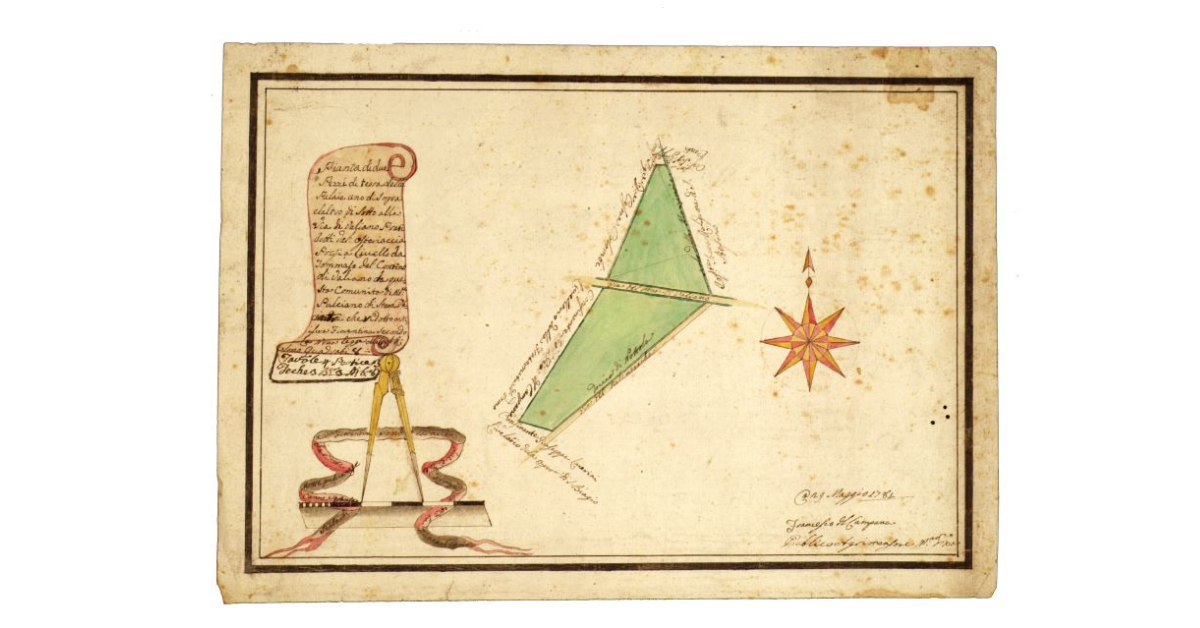 Pianta di due pezzi di terra delle Palaie [...]