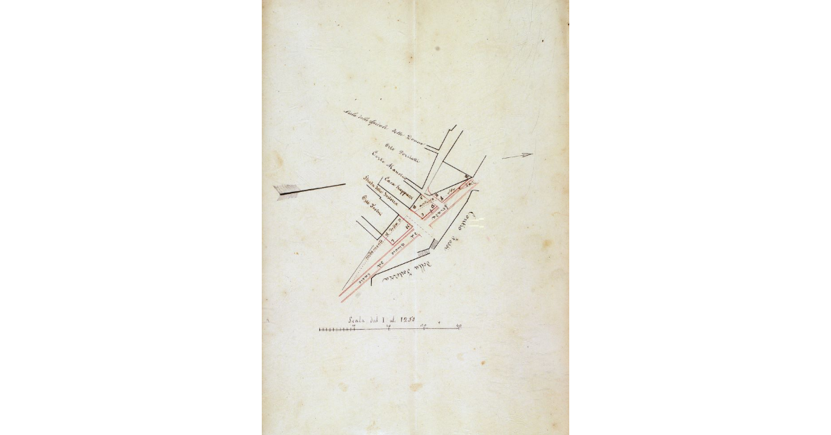 [Pianta dimostrativa di alcuni terreni situati lungo la via del Giuoco del Cacio a Grosseto, chiesti in acquisto dal sig. Chiarito Scappucci e dai fratelli Giuseppe e Raffaello Tosini]
