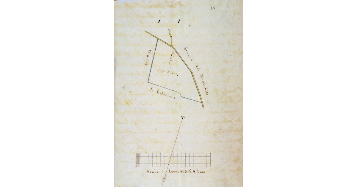 [Pianta di un terreno di proprietà dell'ex Convento di San Francesco a Grosseto, situato nella Contrada dei Marrucheti]