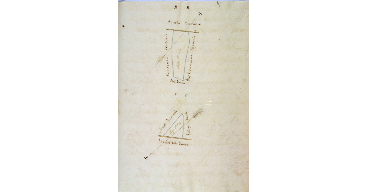 [Piante di due terreni un tempo appartenuti al soppresso Convento di San Francesco di Grosseto]
