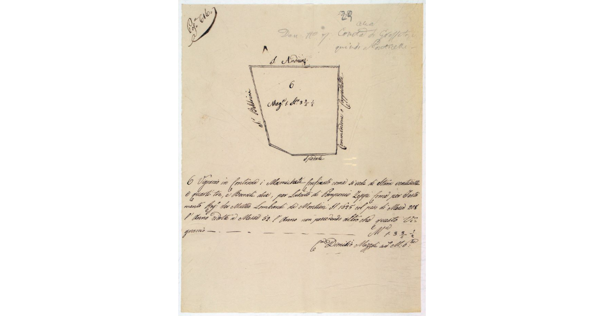 [Pianta di un appezzamento di terreno in contrada i Marrucheti, appartenuto al soppresso Convento di San Francesco di Grosseto]