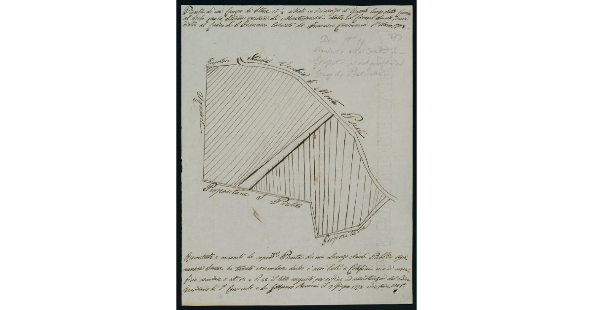 Pianta di un Campo di stara 15 1/2 situato in vicinanza di Grosseto luogo detto Campo al Sorbo per la Strada vecchia di Montepescali dietro al Campo Santo, ossia dietro al Casino di S. Francesco lasciato da Francesco Casamora l'anno 1708