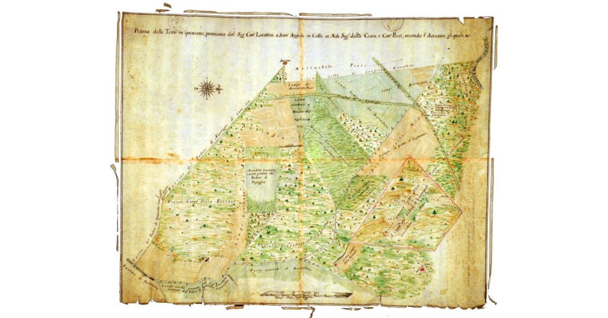 Pianta delle terre in questione promossa dal signor cavaliere Lucattini a Sant' Angiolo in Colle ai nobili signori della Ciaia e cavalier Pecci, secondo l' accesso al quale & c.