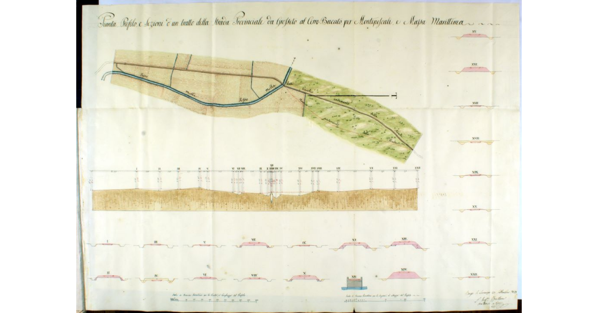 Pianta, Profilo e Sezioni di un tratto della Strada Provinciale da Grosseto al Cerro-Bucato per Montepescali e Massa Marittima