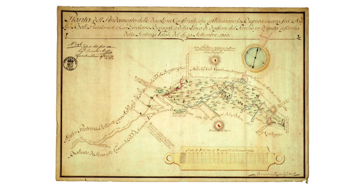 Pianta dell'andamento delle linee confinanti che costituivano la disputa insorta fra i nobili signori Bali Piccolomini e cavalier Girolamo Bargagli e della linea di divisione del terreno in disputa a forma della sentenza rotale del dì 19 Settembre 1800