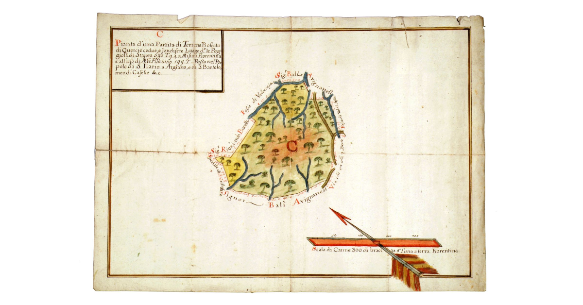 Pianta d'una partita di terreno boscato di quercie cedue e Jandifere. Luogo detto le Poggiola