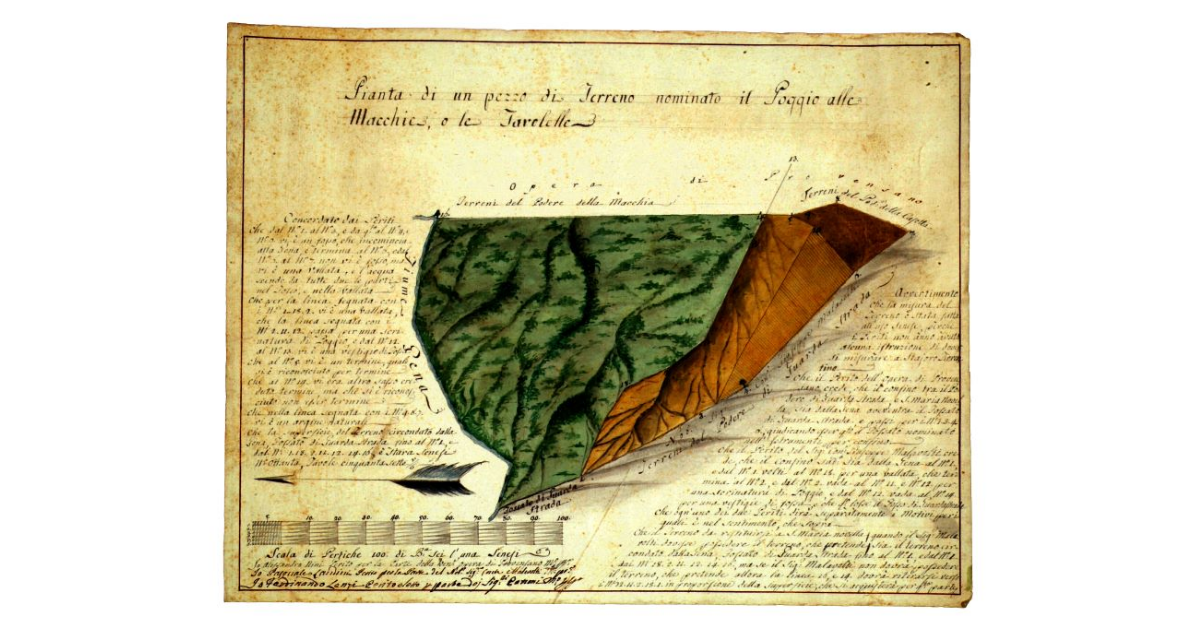 Pianta di un pezzo di terreno nominato il Poggio alle Macchie o le Tavolelle