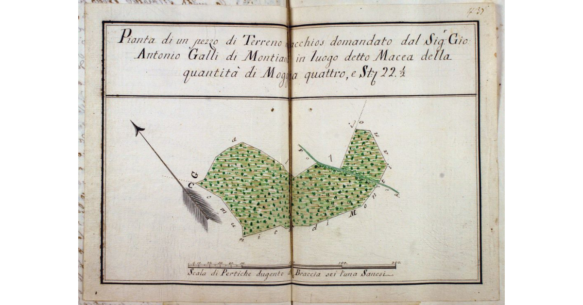 Pianta di un pezzo di Terreno macchioso domandato dal Sig. Gio. Antonio Galli di Montiano in luogo detto Macea della quantità di Moggia quattro e St. 22. 1/2