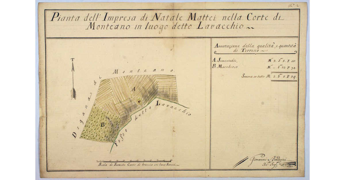 Pianta dell'Impresa di Natale Mattei nella Corte di Monteano in luogo detto Lavacchio