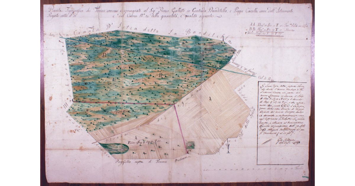 Pianta Topografica dei Terreni concessi e consegnati al Sig. Rocco Galletti in Contrada Banditella, e Poggio Cavallo, come dall'Istrumento Rogato sotto il dì .................... e dal Cabreo N° 24 della quantità, e qualità seguente