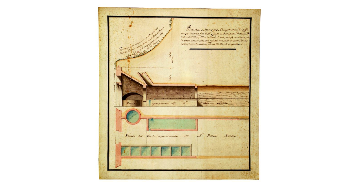 Pianta e spaccato dimostrativo la differenza insorta fra li signori Luigi e Benedetto fratelli Bindi ed il magnifico Mario Tanini sul preteso concorso alle spese occorrenti pel ristabilimento di certo fondo appartenente alli signori fratelli Bindi predetti