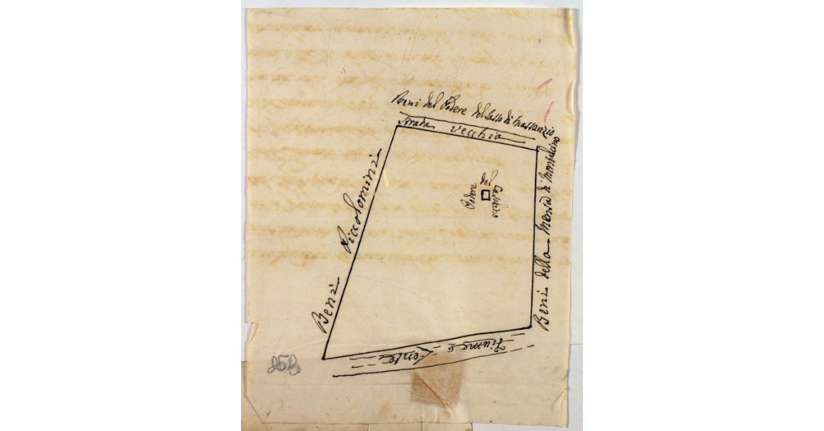 [Pianta del podere del Casalino Amerighi a Montenero]