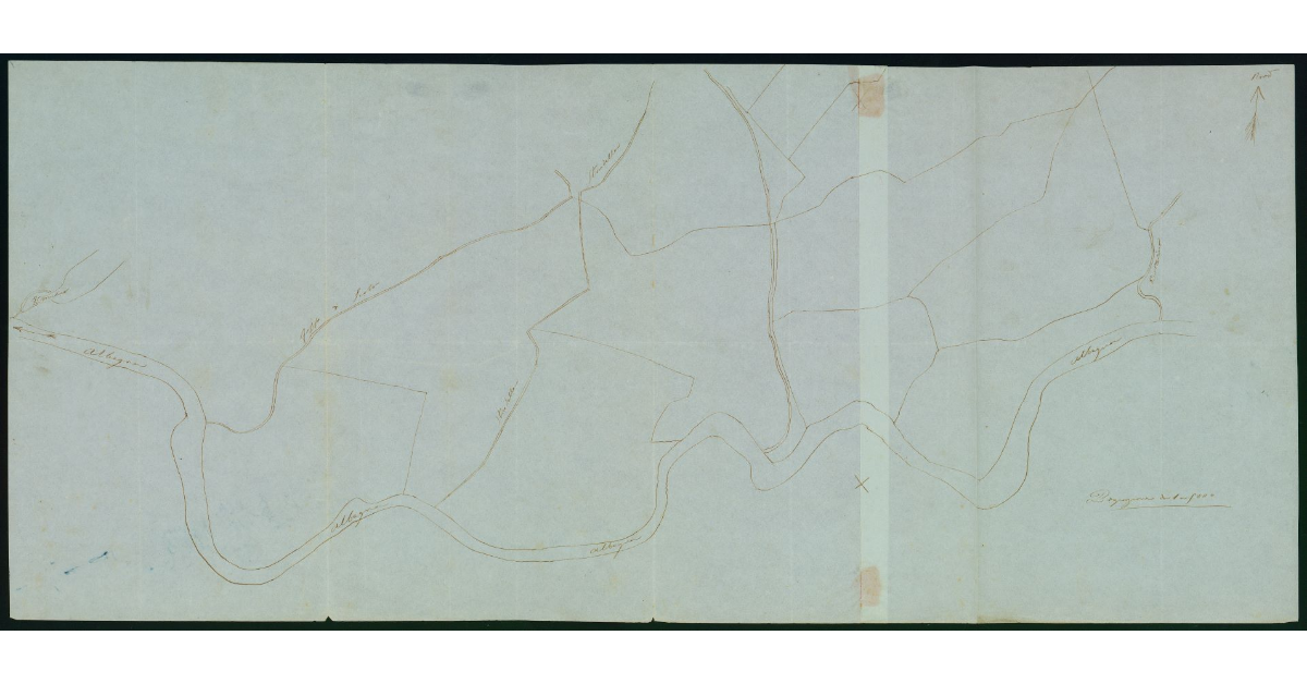 [Pianta indicante l'andamento del fiume Albegna, nel tratto compreso fra il Molino fino al torrente Butterino]