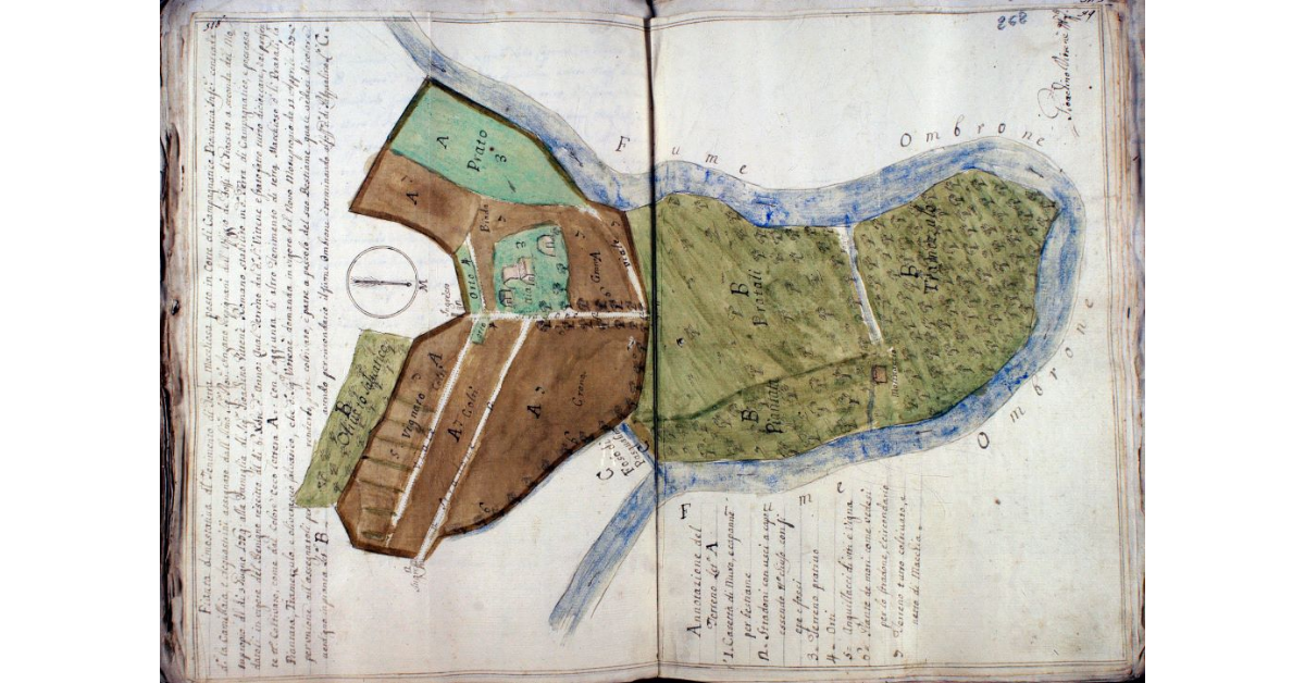 Pianta dimostrativa del Tenimento di Terra Macchiosa posto in Corte di Campagnatico Provincia Inferiore contrada detta la Camillaia e Acquastrini, assegnato dall'Il.mo Sig. Prov. Anzano Perpignani dell'Uffizio de' Fossi di Grosseto a seconda del Motuproprio del dì 3 giugno 1769 alla Famiglia del Sig. Gioacchino Vittenè Romano stabilito in detta Terra di Campagnatico, e possesso datoli in vigore del Benigno rescritto del dì 6 dicembre detto Anno. Qual Terreno dal detto sig. Vittenè è stato fatto tutto dicioccare, e al presente tutto coltivato, come dal colore ceco lettera A con l'aggiunta di altro Tenimento di terra Macchioso detti li Pratali, la Piantata, Tramezzuolo, e olivetaccio salvatico, che detto sig. Vittenè domanda in vigore del Novo Motuproprio de 11 Apprile 1778 per unione all'assegnatoli per renderlo, parte coltivato, e parte a pascolo del suo Bestiame, quale vedesi di colore verdigno in pianta Let. B avendo per circondario il fiume Ombrone è terminando al Fosso detto di Pasqualino, L[ettera] C