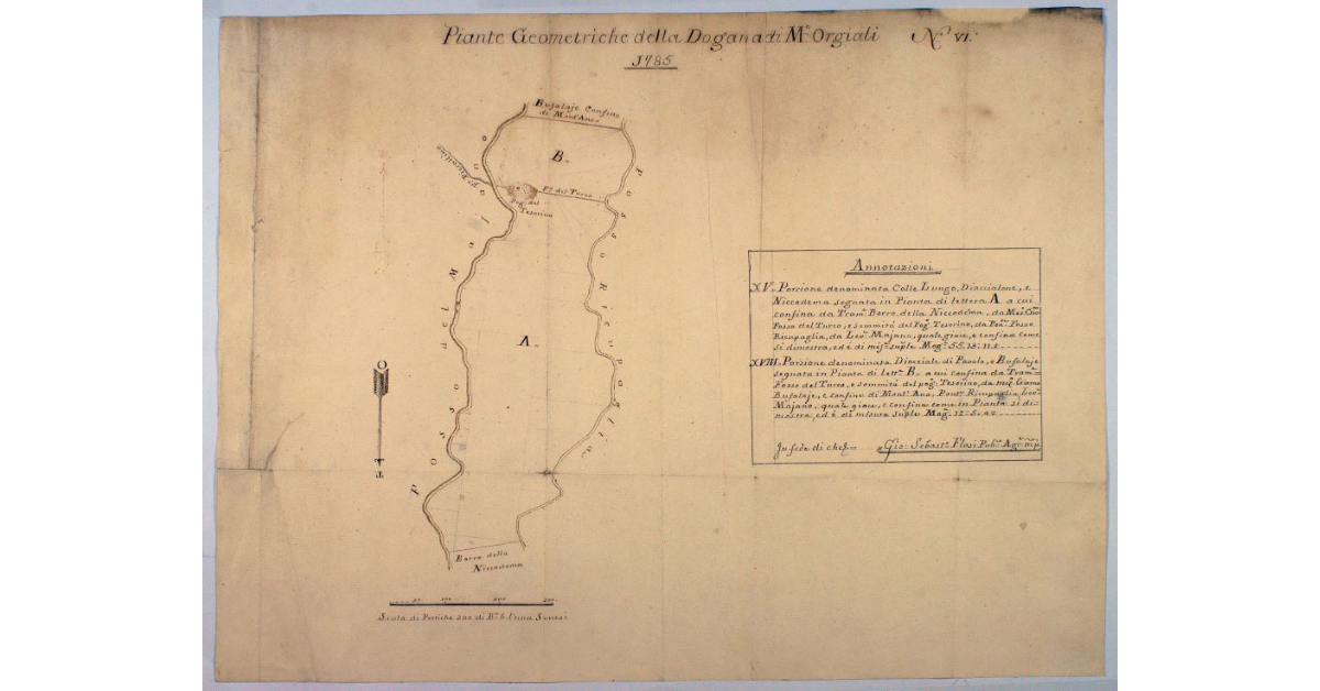 Piante Geometriche della Dogana di M. Orgiali 1785
