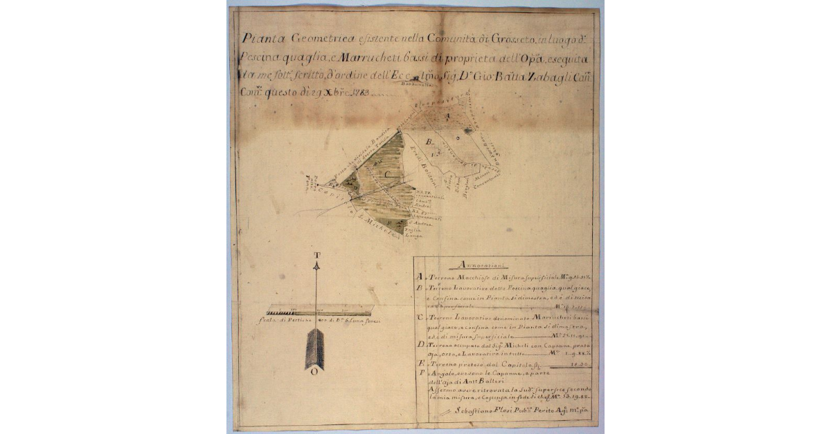 Pianta Geometrica esistente nella Comunità di Grosseto, in luogo detto Pescina quaglia e Marrucheti bassi di proprietà dell'Opera, eseguita da me sotto scritto, d'ordine dell'Eccellentissimo Sig. D. Giovan Battista Zabagli Cancelliere Comunitativo questo dì 29 dicembre 1783