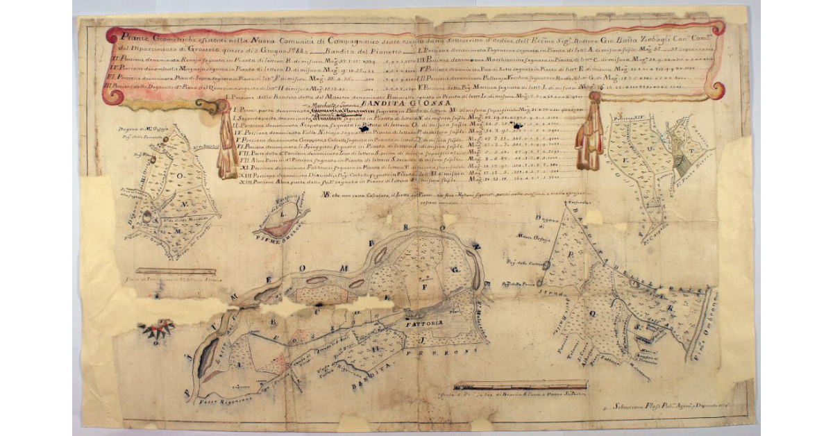 Piante Geometriche esistenti nella Nuova comunità di Campagnatico state eseguite da me sottoscritto d'ordine dell'Eccellentissimo Signor Dottore Giovan Battista Zabagli Cancelliere Comunitativo del Dipartimento di Grosseto questo dì 3 Giugno 1784: Bandita del Pianetto [...] e Bandita Grossa