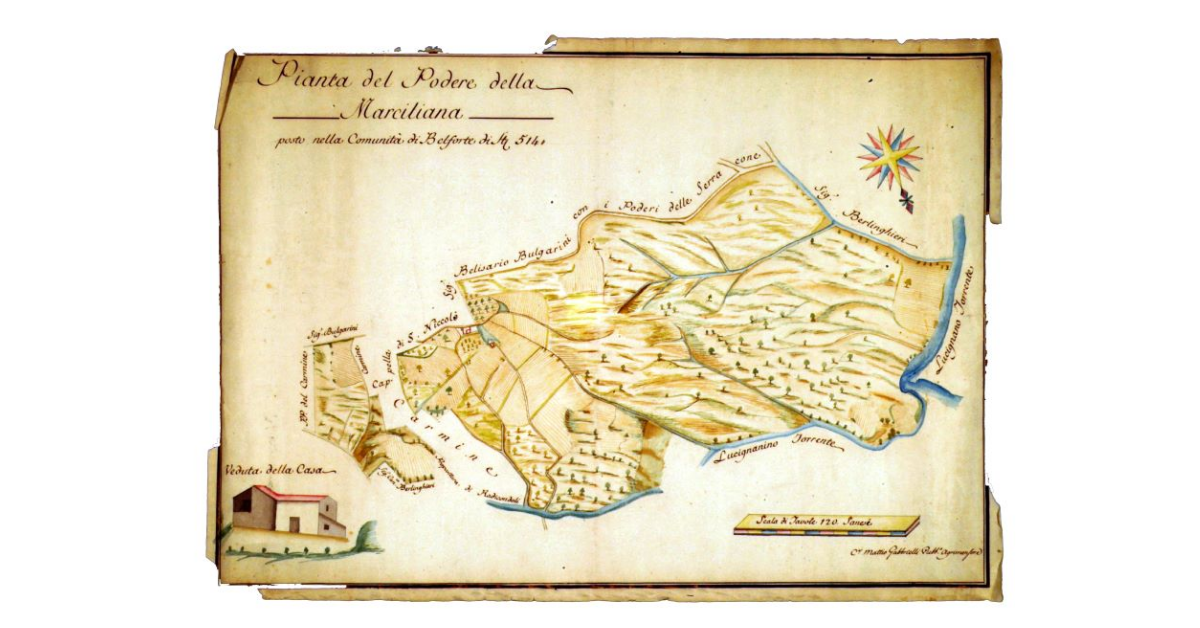 Pianta del podere della Marciliana posto nella comunità di Belforte