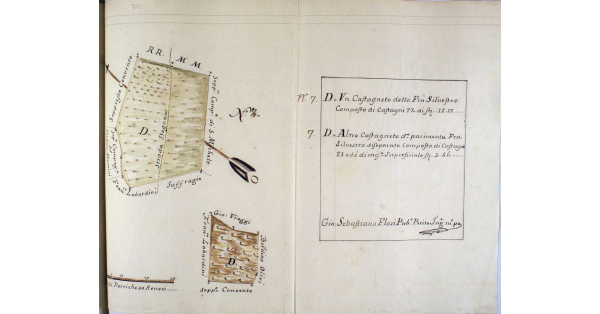 Degli Stabili Spettanti al Soppresso Spedale di S. Fiora, che devono vendersi a forma degli Ordini, che si trovano descritti nell'annesse Piante, e stimati a forma dell'acclusa Relazione