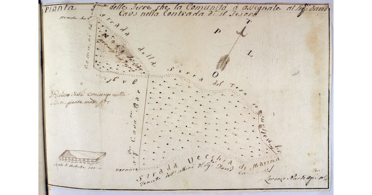 Pianta delle Terre che la Comunità à assegnate al Sig. David Caus nella Contrada detta il Tesoro