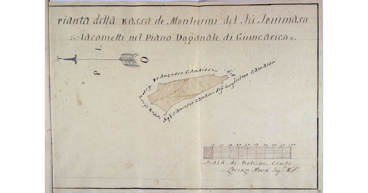 Pianta della Bassa de Montierini del Fù Tommaso Iacometti nel Piano Doganale di Giuncarico