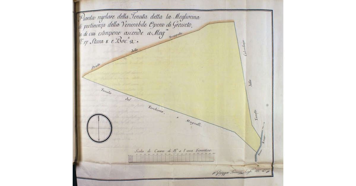 Pianta regolare della Tenuta detta la Megliorina di pertinenza della Venerabile Opera di Grosseto, la di cui estenzione ascende a moggia n. 17, stara 8 e Boccali 2