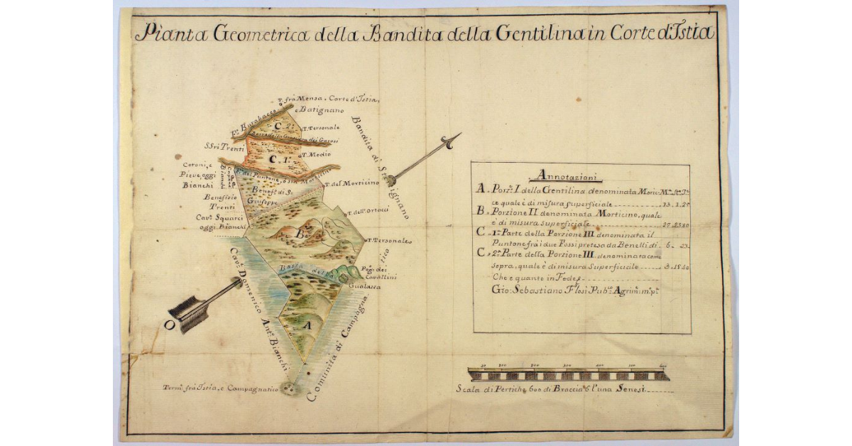 Pianta Geometrica della Bandita della Gentilina in Corte d'Istia