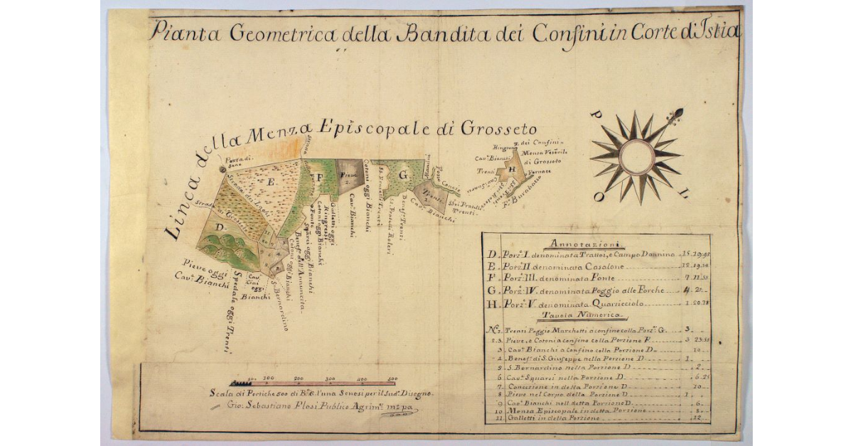 Pianta Geometrica della Bandita dei Confini in Corte d'Istia