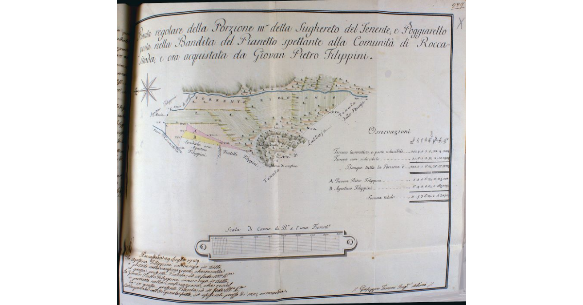 Pianta regolare della Porzione III detta Sughereto del Tenente , e Poggiarello posta nella Bandita del Pinanetto spettante alla Comunità di Rocca-Strada, e ora acquistata da Giovan Pietro Filippini