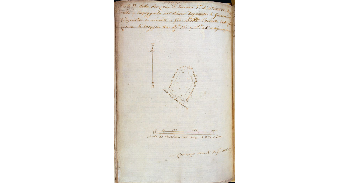 Parte II della Porzione di terreno detta di n° XXXVII Pozzarello e Cafaggiolo nel Piano Doganale di Giuncarico rilasciata vendita a Giovan Battista Cacialli dell'estensione di moggia tre, staia 16 e pertiche 66 a misura senese