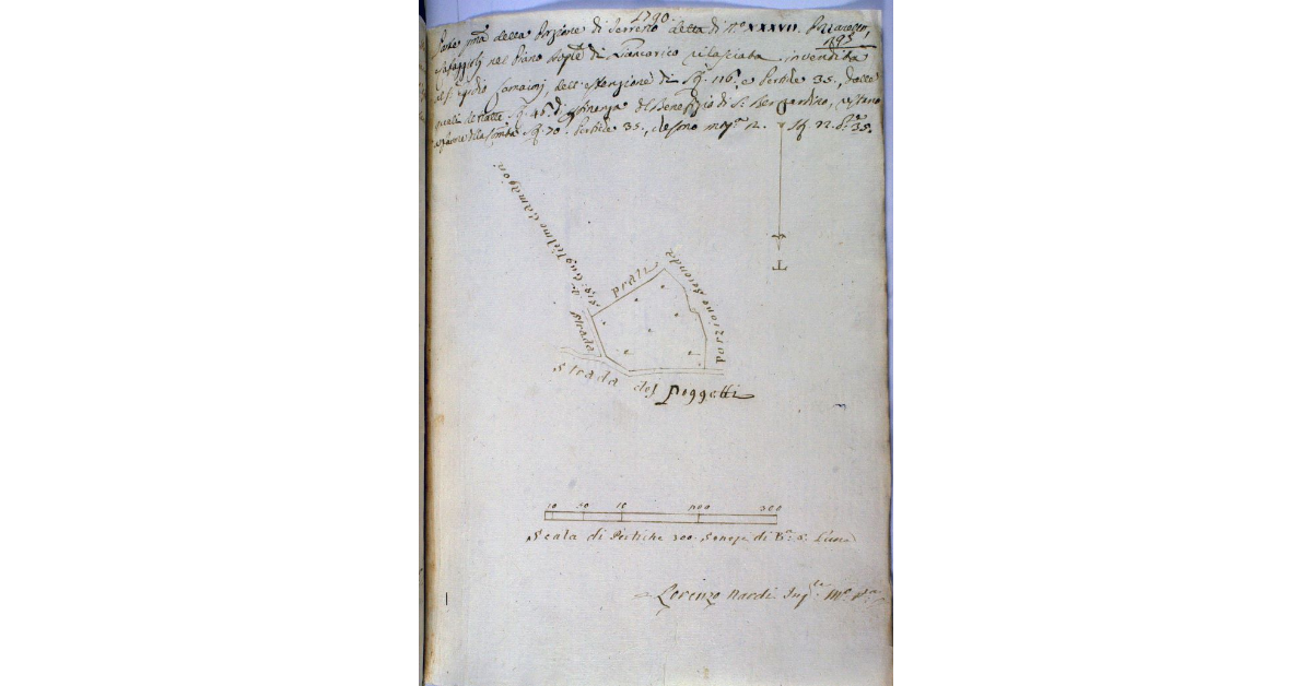 Parte prima della Porzione di terreno detta di n° XXXVII Pozzarello e Cafaggioli nel Piano Doganale di Giuncarico rilasciata in vendita al signor Egidio Camaiori, dell'estensione di staia 116, e pertiche 35, delle quali detratte staia 46 di pertinenza del Benefizio di S. Bernardino, restano a favore della Comunità staia 70, pertiche 35, che sono moggia 12, staia 22, pertiche 35