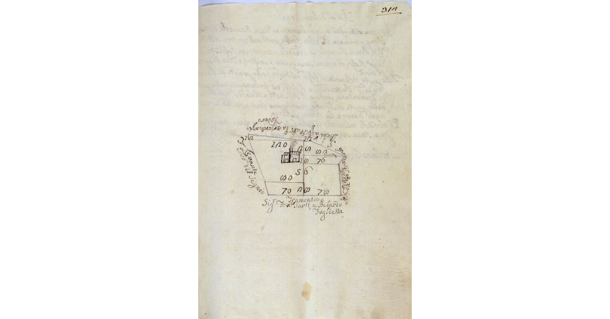 [Pianta del podere Renaiolo situato nella comunità di Montebuono]