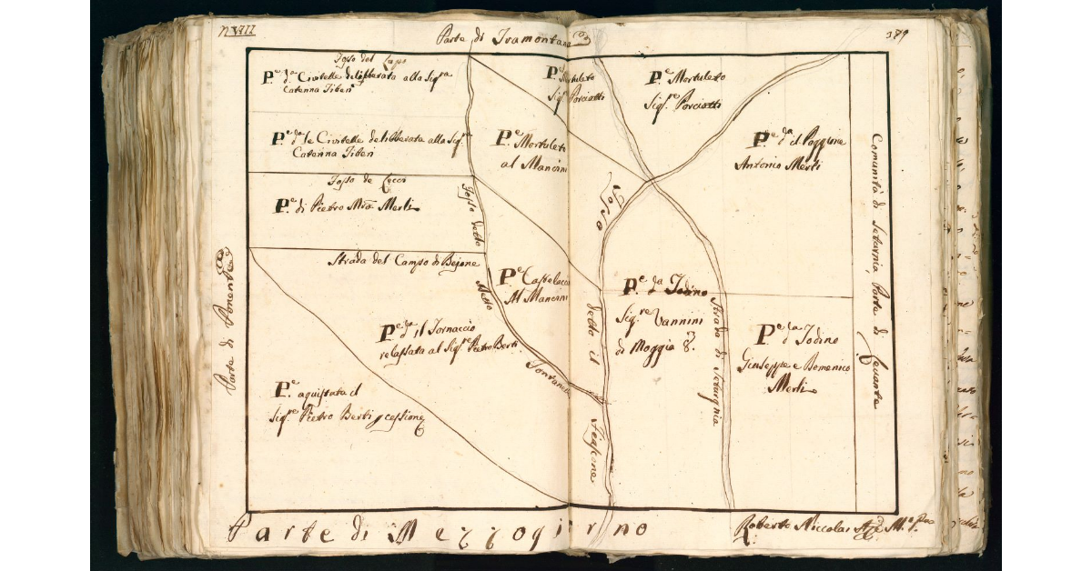 [Pianta delle diverse porzioni di terreno situate nel territorio di Murci]