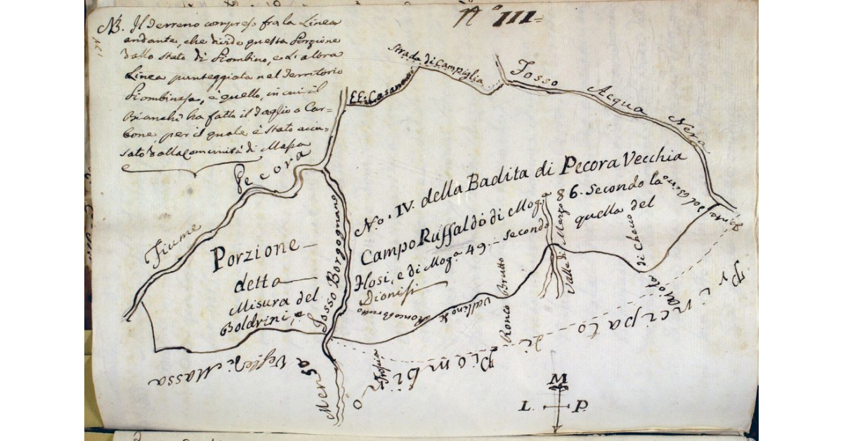 Porzione N° IV della Bandita di Pecora Vecchia detta Campo Ruffaldo di Moggia 86 secondo la misura del Flosi, e di moggia 49 secondo quella del Boldrini e Dionisi