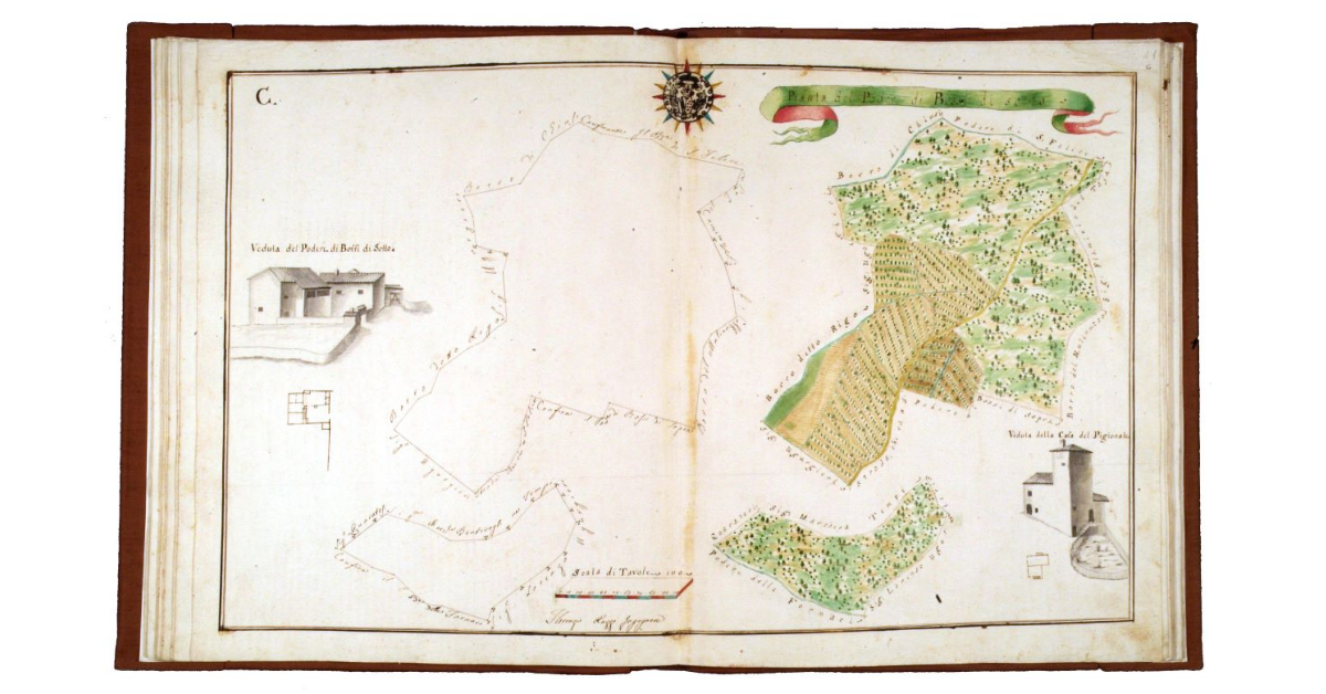 Pianta del podere di Bossi di Sotto