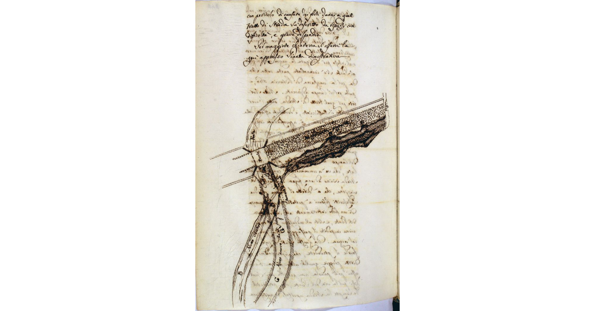 [Pianta dimostrativa dei restauri che devono essere effettuati nelle adiacenze del Fosso della Fonte lungo la strada Regia Senese]