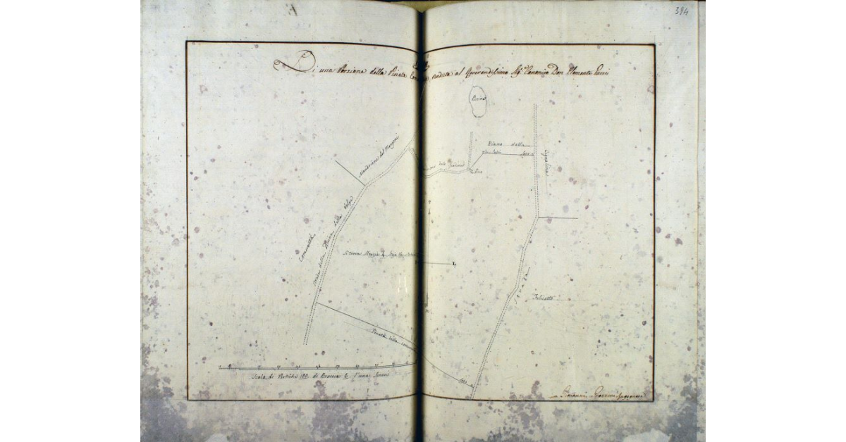 Pianta di una Porzione della Pineta Comunitativa, venduta al Reverendissimo Sig. Canonico Don Clemente Pucci