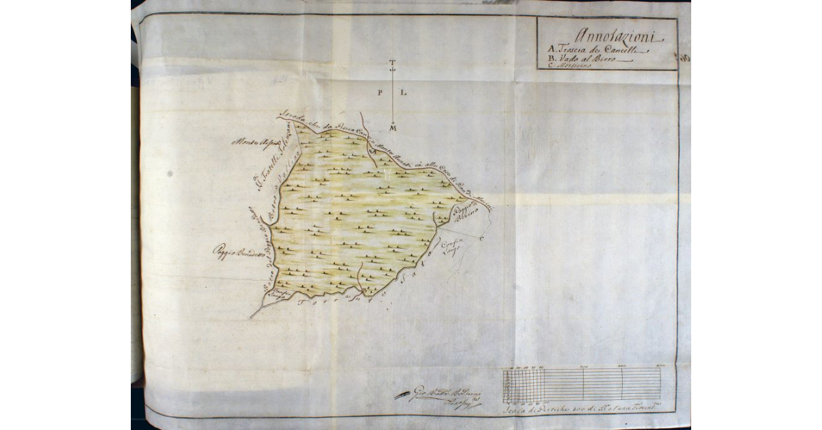 [Pianta dei terreni denominati Paganello e Piacenza situati nella comunità di Massa Marittima, spettanti al sig. Giuseppe Malfatti]