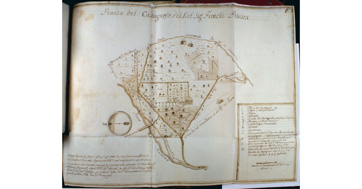 Pianta del Castagnolo dei Nobili Signori Fratelli Petrucci
