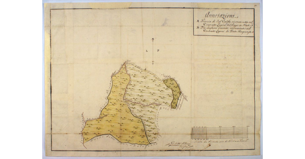 [Pianta dei terreni denominati Poggio ai Frati e Fonte Magnensa situati nella Bandita del Comunale di Massa Marittima, acquistati dai signori Bernardino e Antonio Lapini rispettivamente dai soppressi conventi di S. Agostino e S. Francesco]