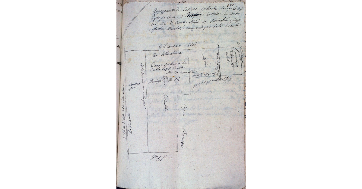 Appezzamento di terreno spettante a Carlo Seri posto in Corte di Pitigliano in contrada la Corte del Re di tenuta staia 14 seminabile e dogni restante macchioso come vedrassi dalla Pianta