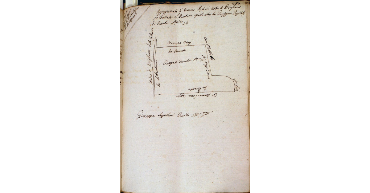 Appezzamento di terreno posto in Corte di Pitigliano in contrada il Pantano spettante a Giuseppe Pozzitelli di tenuta staia 12