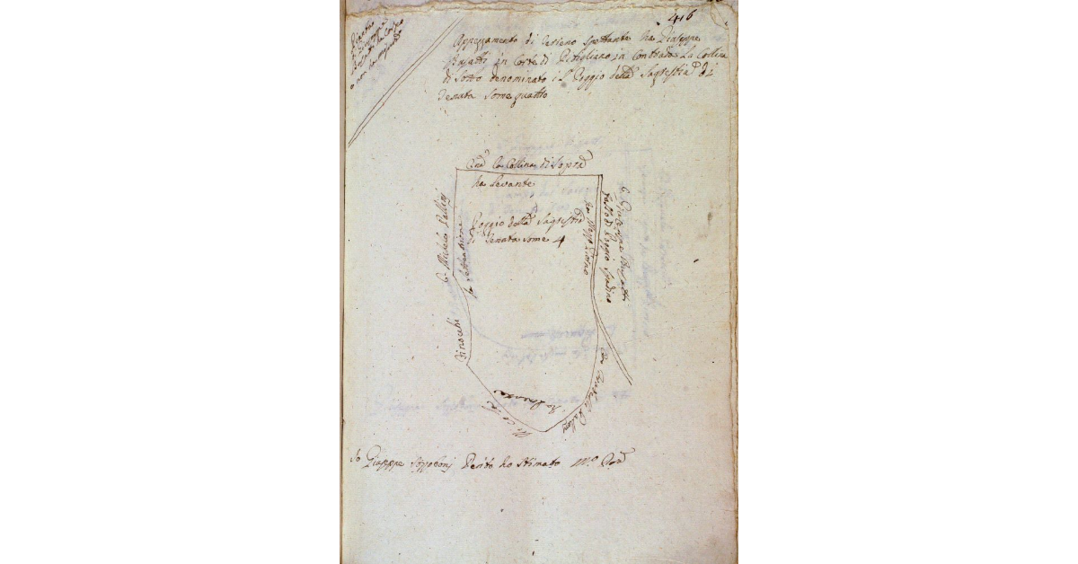 Appezzamento di terreno spettante a Giuseppe Busatti in Corte di Pitigliano in Contrada la Collina di Sotto denominato il Poggio della Sagrestia di tenuta some 4