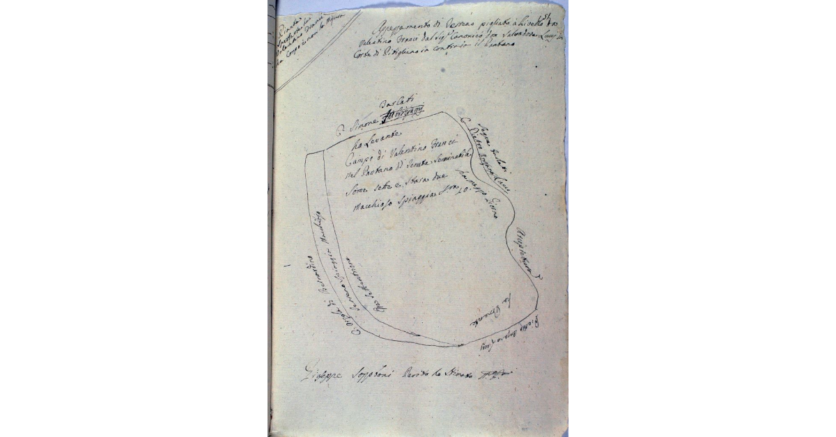 Appezzamento di terreno pigliato a livello da Valentino Franci dal sig. Canonico don Salvatore Luzzi in Corte di Pitigliano in Contrada il Pantano