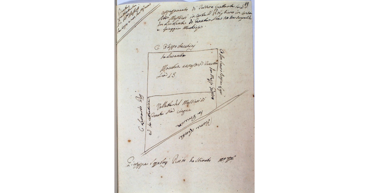 Appezzamento di terreno spettante a Giovan Battista Massieri in Corte di Pitigliano in Contrada "La Lente" di tenuta di staia 20 tra seminabile e spiaggia macchiosa