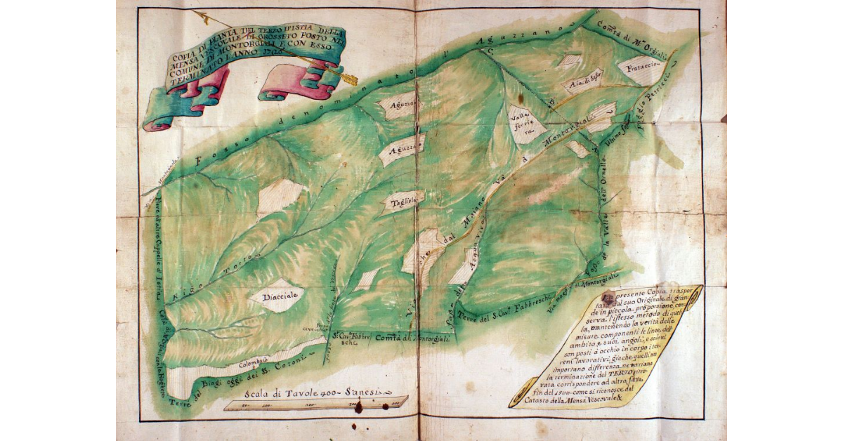 Copia di Pianta del Terzo d'Istia della Mensa Vescovale di Grosseto posto nel Comune di Montorgiali e con esso terminato l'anno 1726