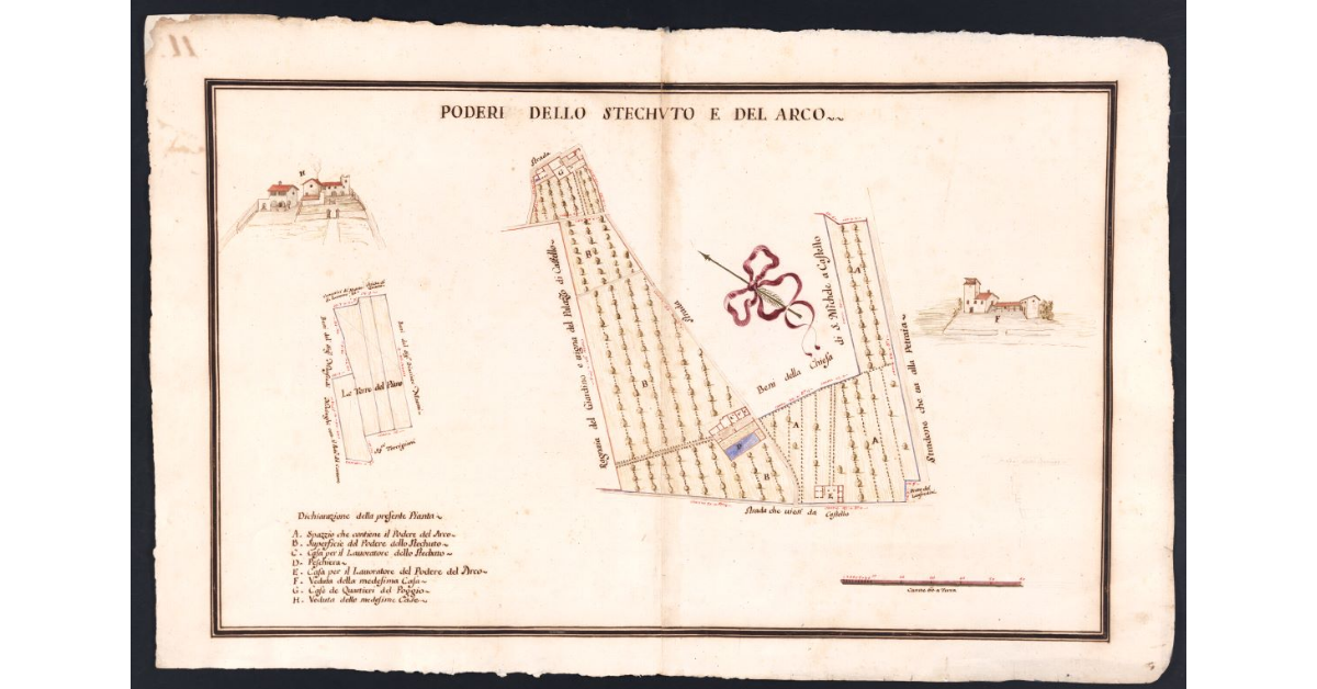 [Pianta del giardino della villa di Castello]