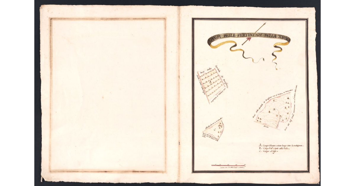 Campi delle pertinenze della Topaia