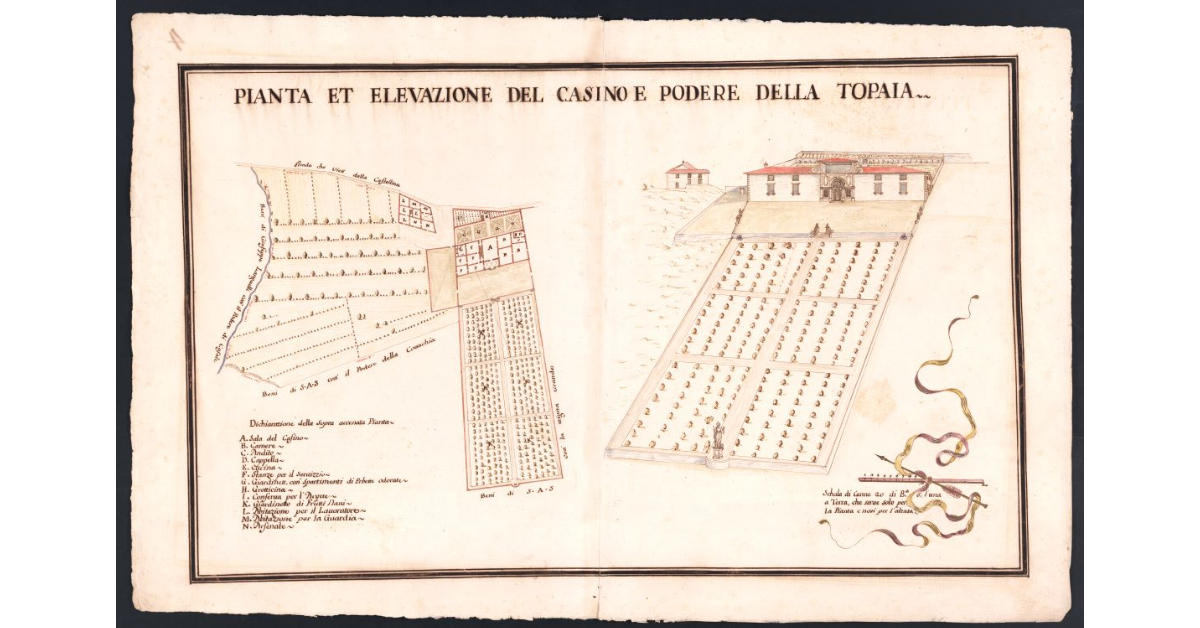 Pianta et elevazione del casino e podere della Topaia